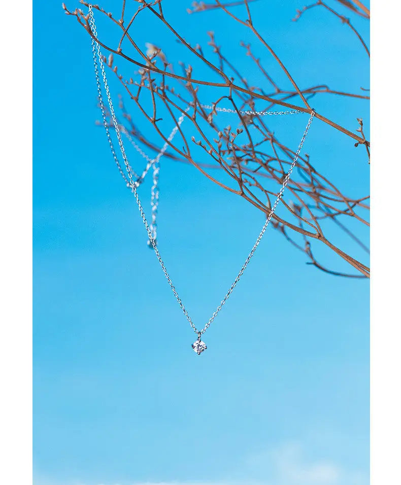 Necklace with Silver Necklace null